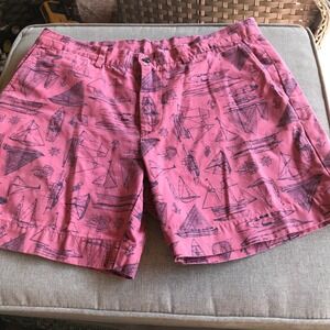 Polo Ralph Lauren Mens Pink Sailboat Nautical Print Classic Fit 6 Shorts 34